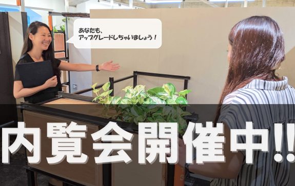 内覧会開催中！！